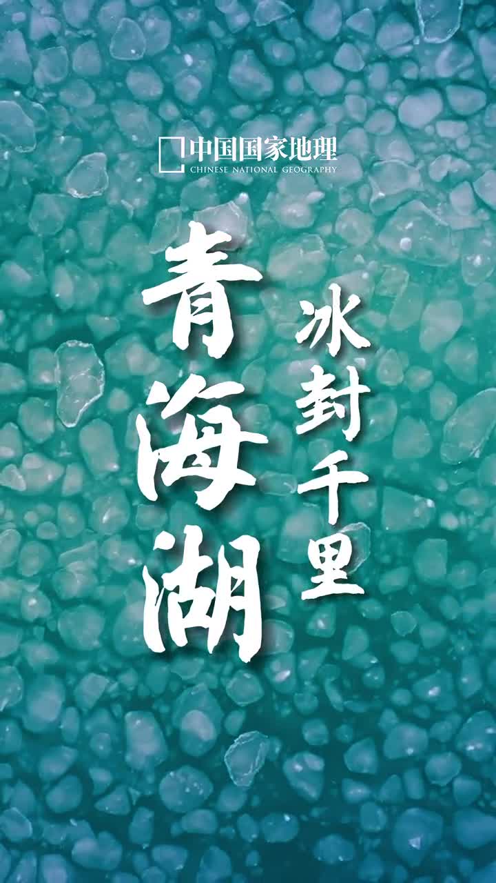 这个季节的青海湖实在是太美了青海湖是地质时期形成的构造断陷湖它的气质是独特的既有海的无边无际又有湖的沉静安宁