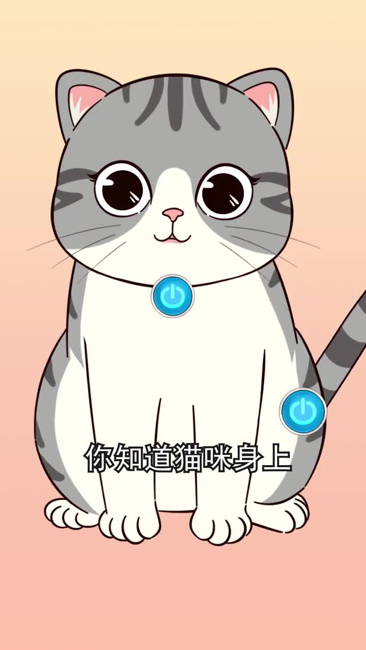 猫身上一触即发的小开关你都试过吗