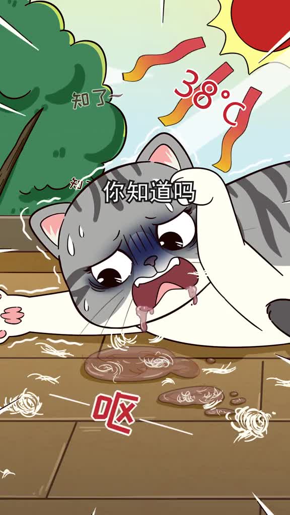 夏天是猫咪换毛季要注意预防毛球问题铲屎官得做好这3件事