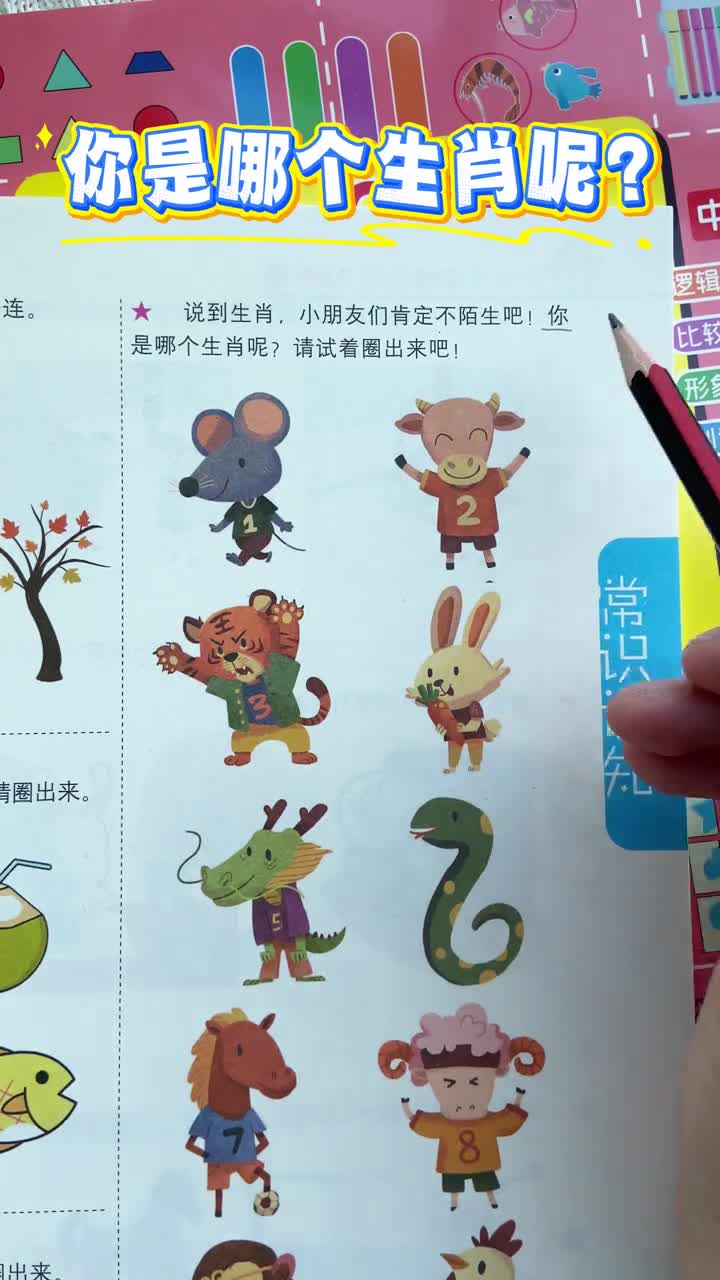 26岁幼儿园的孩子不要浪费暑假时间每天15分钟轻松提高逻辑思维观察力和专注力让大脑得到全面激发越玩越聪明