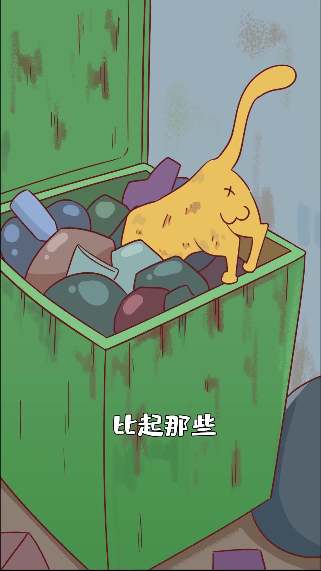 比流浪猫更可怜的是被弃养的家猫