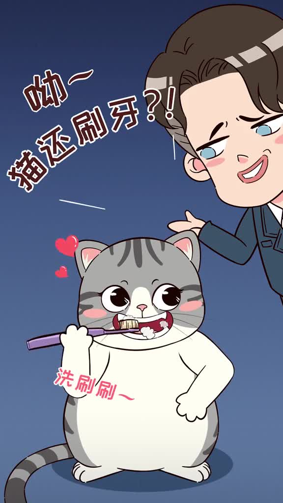 猫咪长期不刷牙危害大会出现牙结石食欲下降要给主子做好口腔清洁哦