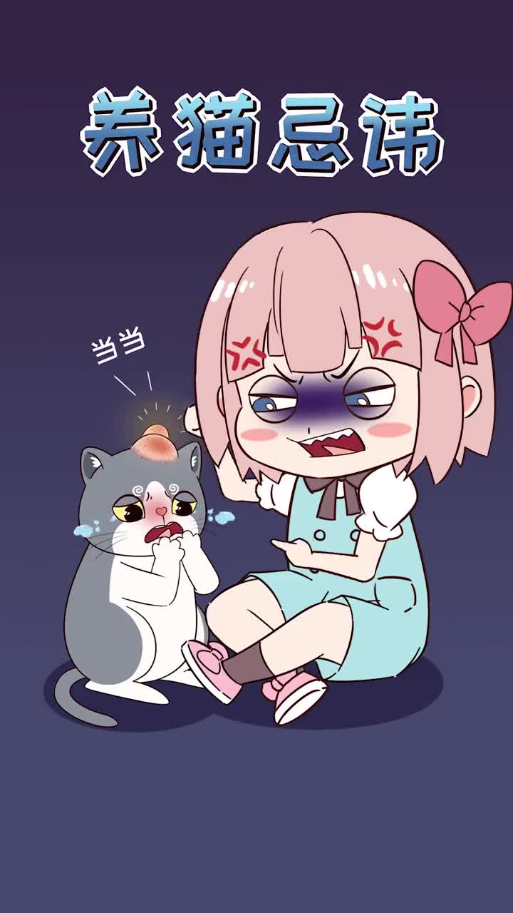 养猫忌讳的几件事会伤害到猫咪铲屎官请注意