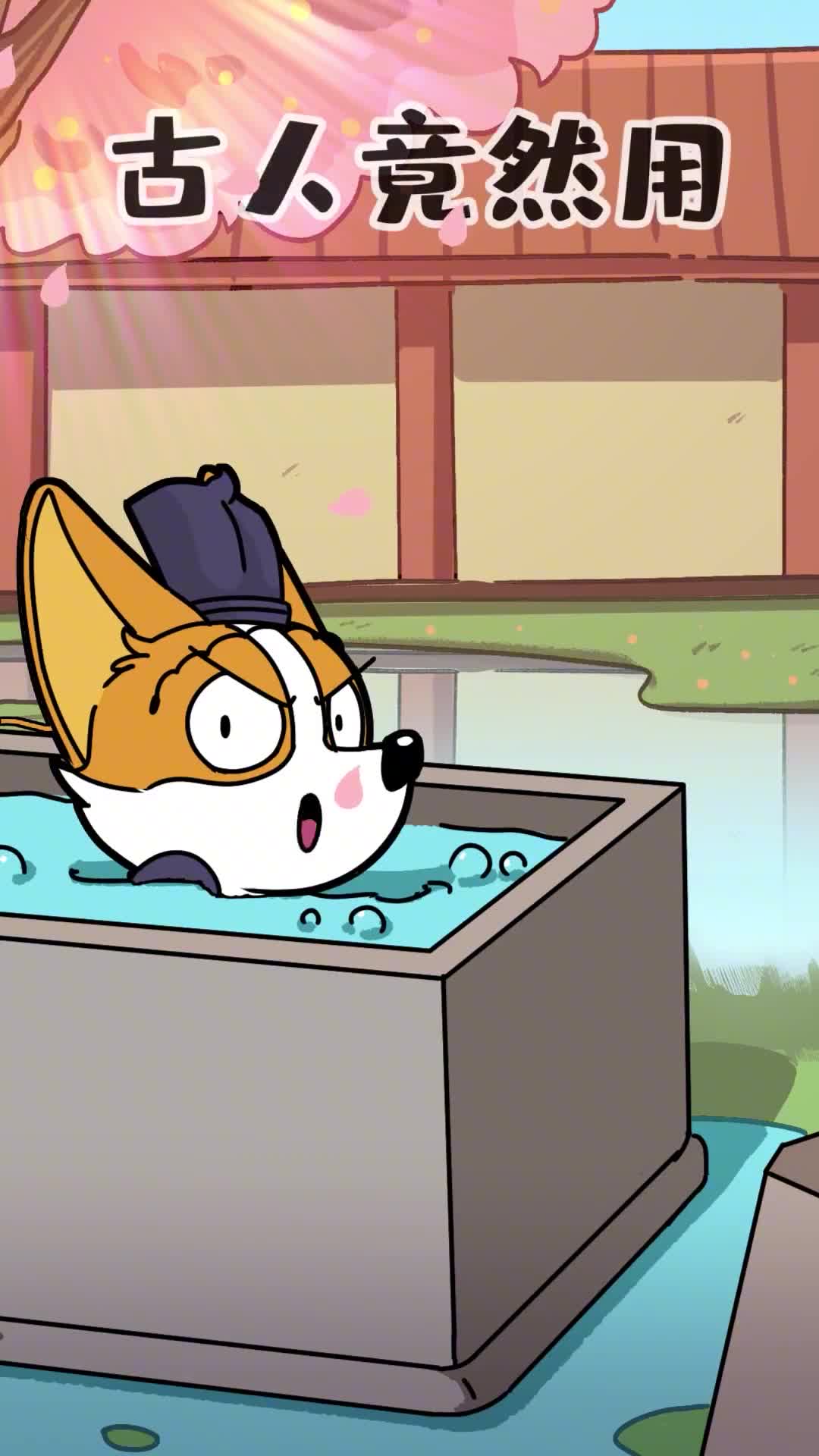 你知道吗古人竟然用猪洗脸