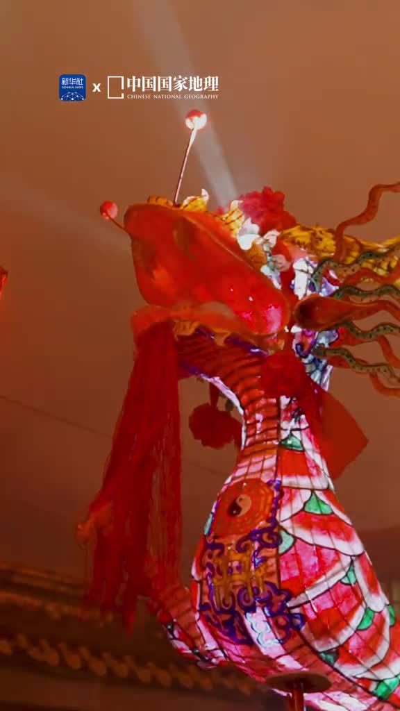 龙年当然要看烟花火龙啦爆竹声声鼓乐齐鸣祥龙抖动着璀璨的鳞片在火树银花之间腾跃飞舞人们用这种欢腾喜庆的方式庆贺新年也祈求来年风调雨顺国泰民安