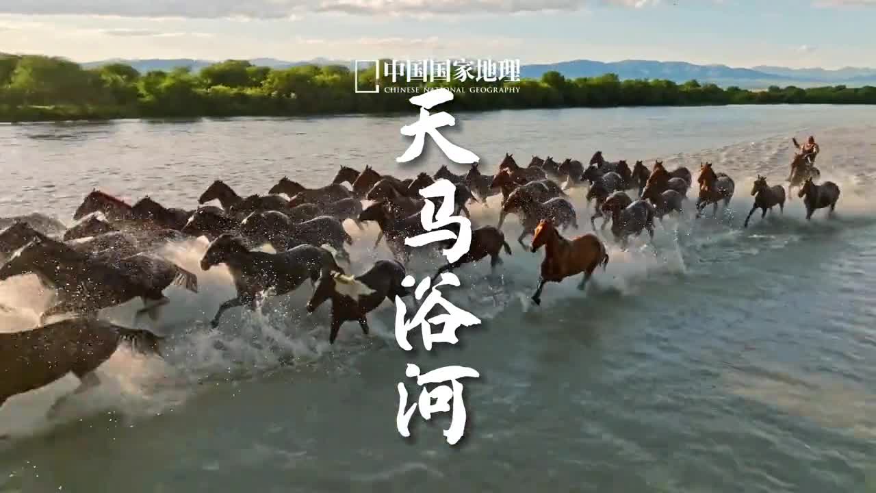 腾昆仑历西极天马浴河太帅了新疆自古产良马伊犁的昭苏县位于群山环抱的高山盆地有中国天马之乡之美誉