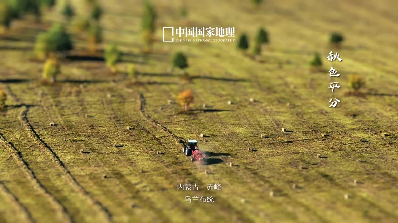 秋分万物共赴生命华章秋分是秋季第四个节气此时太阳直射点行至地球的腰带赤道昼夜均而寒暑平秋分也是一年一度的中国农民丰收节沉甸丰盈的庄稼是大自然的馈赠风禾尽起四海承平时和年丰欢喜人间