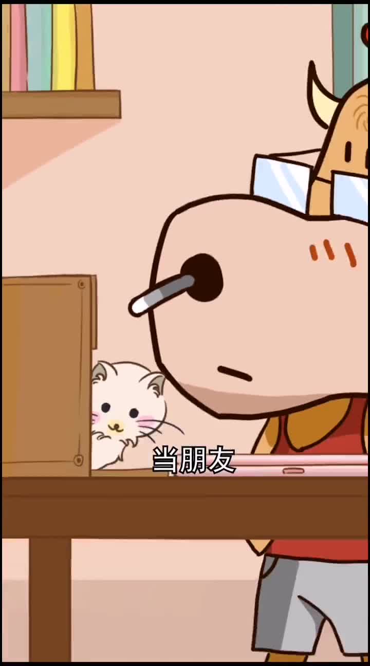 猫咪有不同的肢体动作你能懂它吗