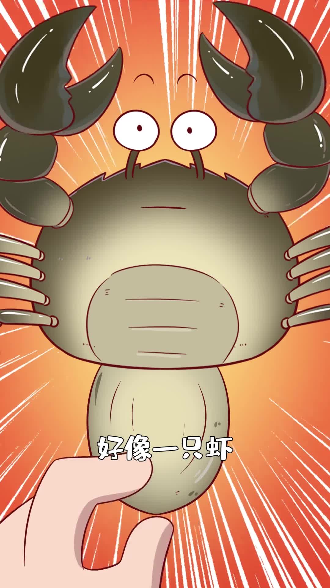 你吃的螃蟹在很早以前可能是一只虾