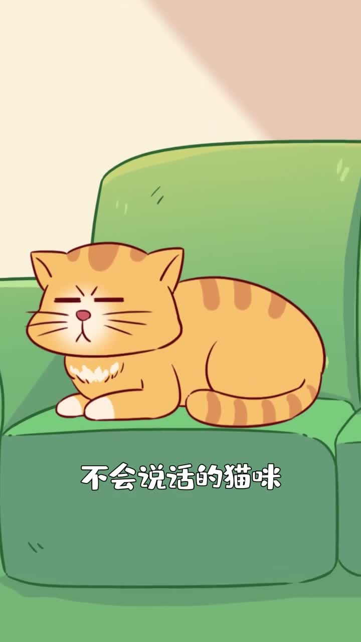 不会说话的猫忍痛能力究竟有多强