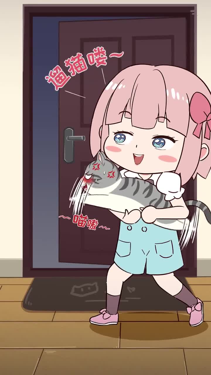 遛猫的正确打开方式要记住这几点可不是所有猫都天生能遛哦