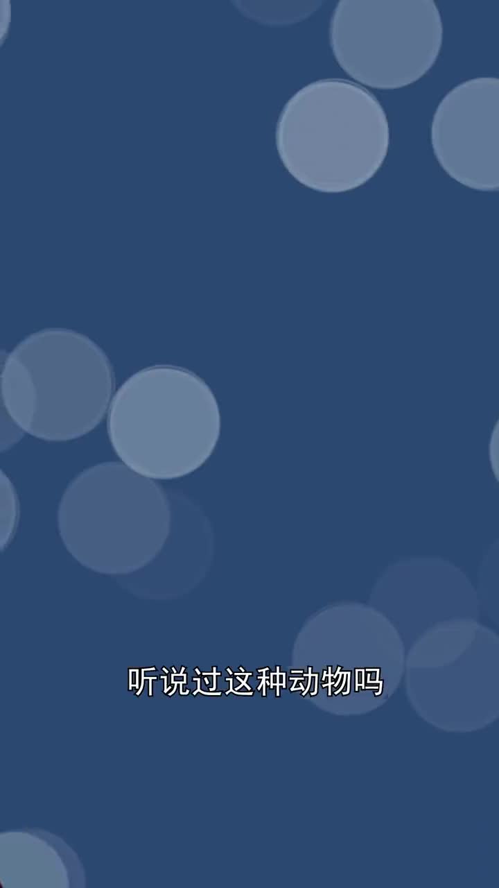 海洋牛皮癣藤壶你知道吗