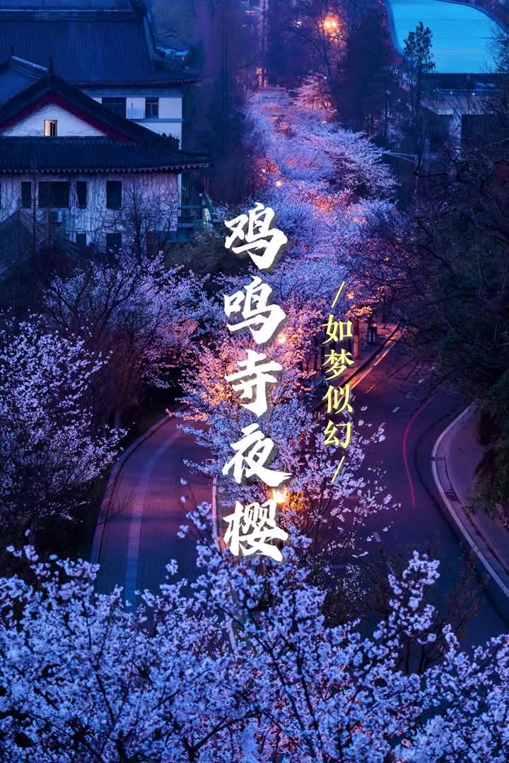 还有谁没看到南京的樱花经典角度带你云赏鸡鸣寺的樱花夜景