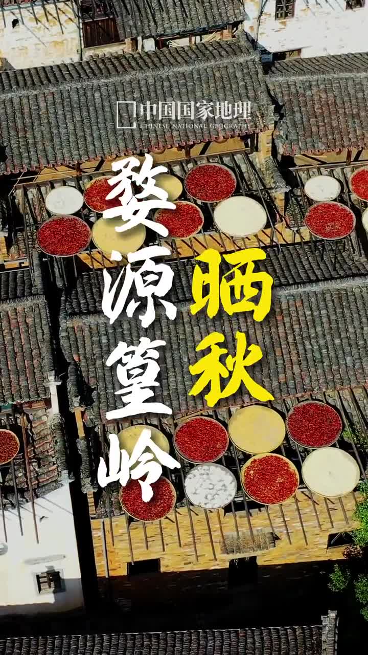 白墙黛瓦杏叶黄世外桃源晒秋忙