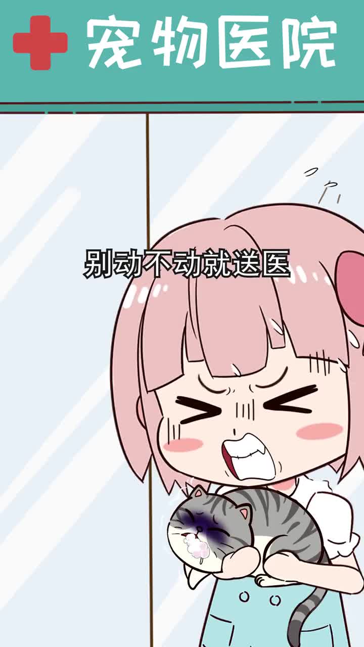 别动不动就往宠物医院跑教你几招在家也能给猫做体检