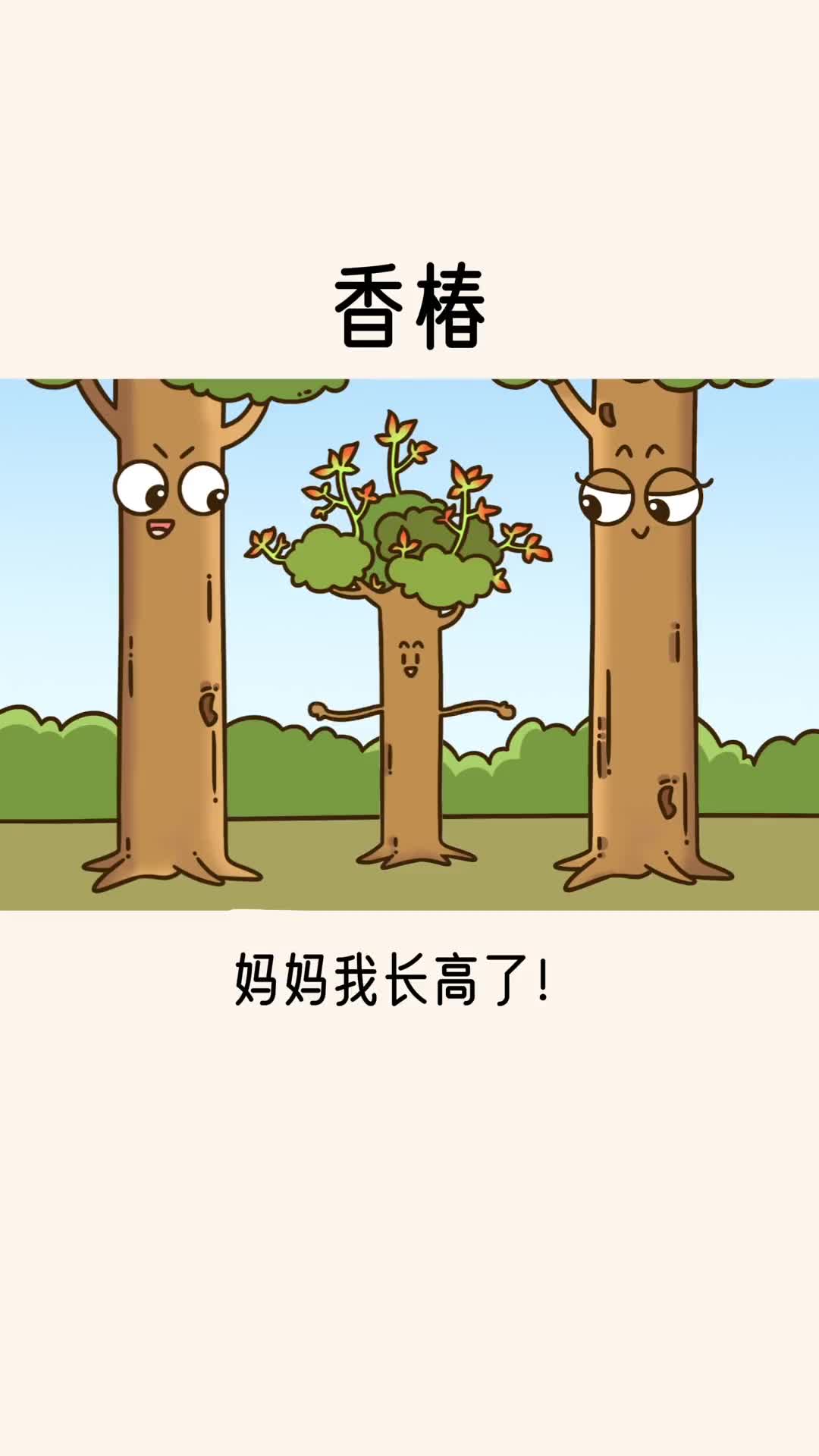 春季限定香椿蔬菜中的爱马仕你们都尝过了吗