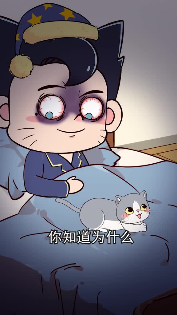 猫妈妈将幼崽叼给主人有这4点原因你都了解吗