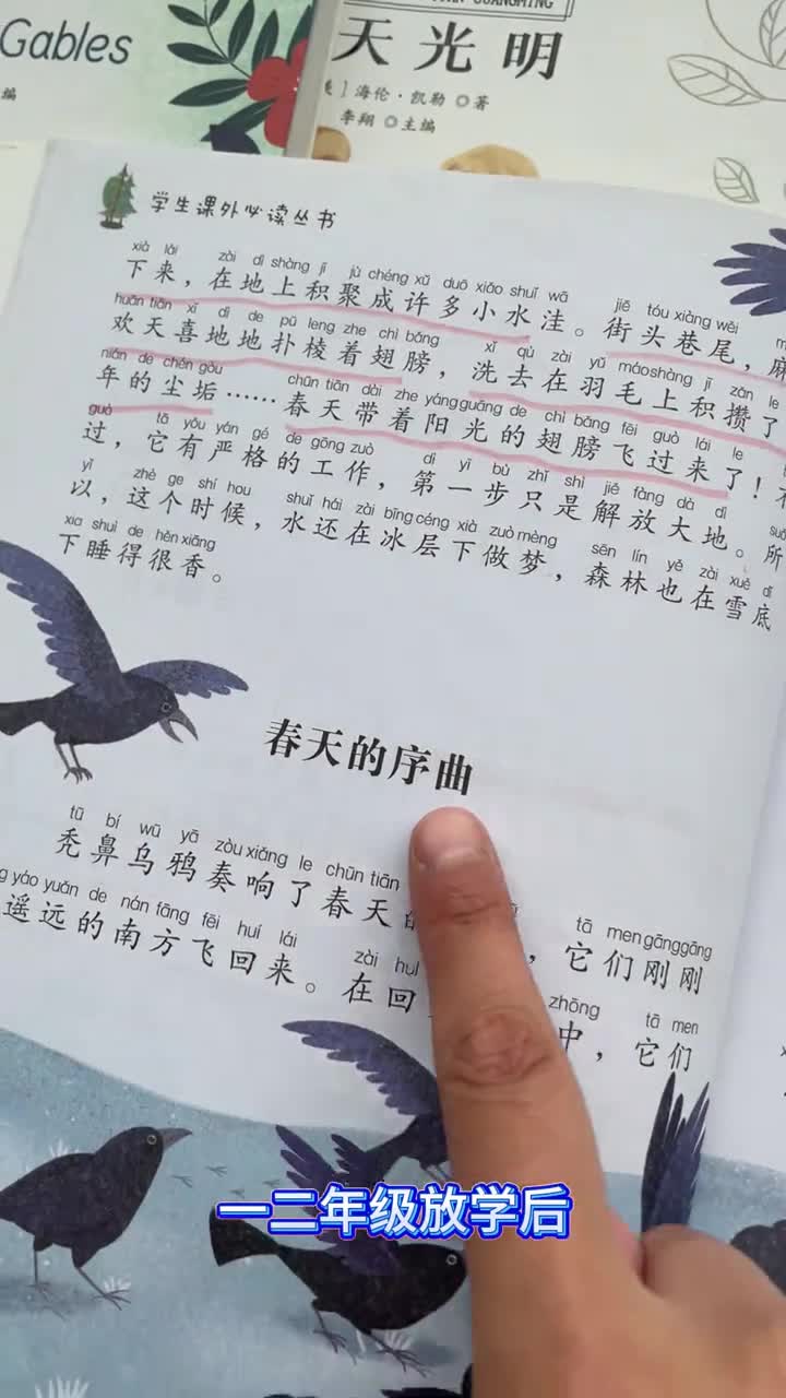 趁一二年级作业少无论如何都得让孩子把这十本书读完以后写作文可是相当惊喜