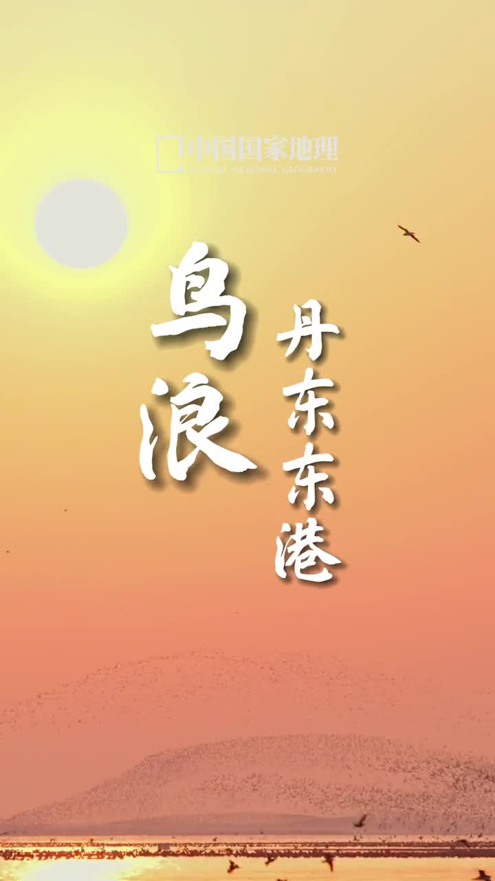 眼里有星辰心中有山海