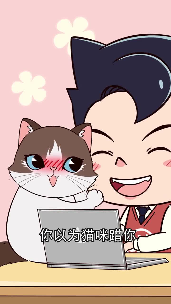 猫咪蹭你是单纯喜欢你其实有这几种原因忍不住叫一声渣猫