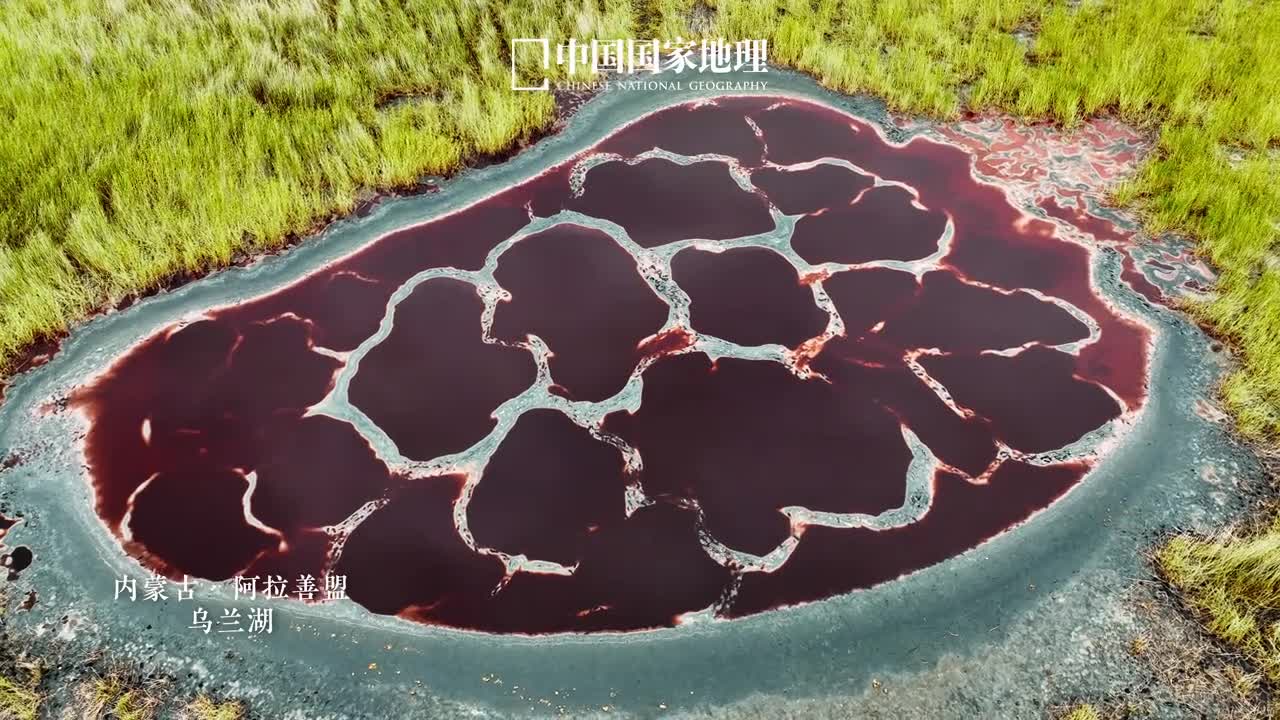 沙漠里的隐藏彩湖在内蒙古的腾格里沙漠有很多绚丽夺目的盐湖被誉为地球心脏的乌兰湖就是其中之一多彩盐湖的诞生离不开地理气候生物等三个主要因素特别是炎炎夏日在高温高盐度富营养的同步配合下盐湖的颜色最艳丽