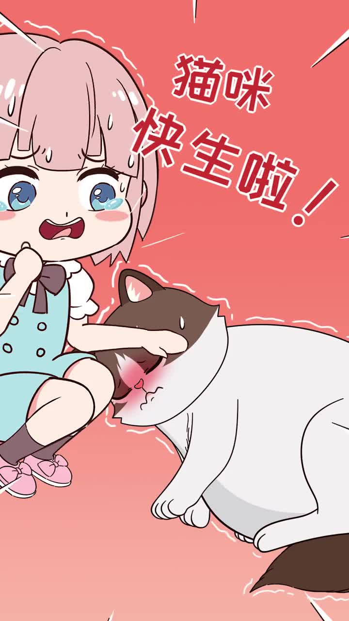 猫咪快生崽了该怎么办注意这几个事项就是个合格的铲屎官啦