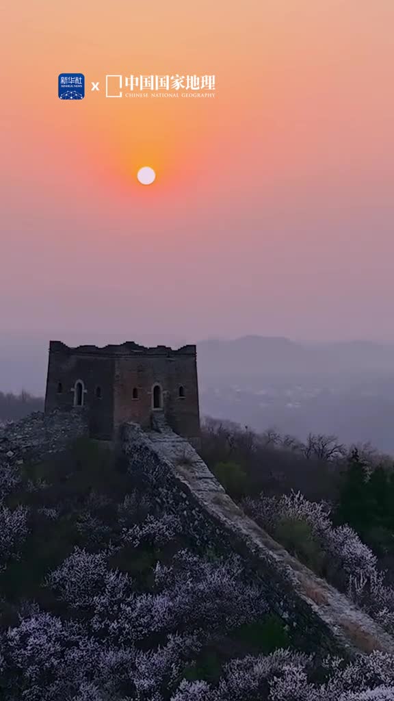 长城内外春光灿烂当春风轻拂过山野古老的长城迎来绝美花海这里是坐落于北京市怀柔区的河防口长城蜿蜒的长城在花海的映衬下愈显雄伟壮丽宛如一条巨龙盘旋其中此刻充满生命力的自然之美与历史之韵完美融合