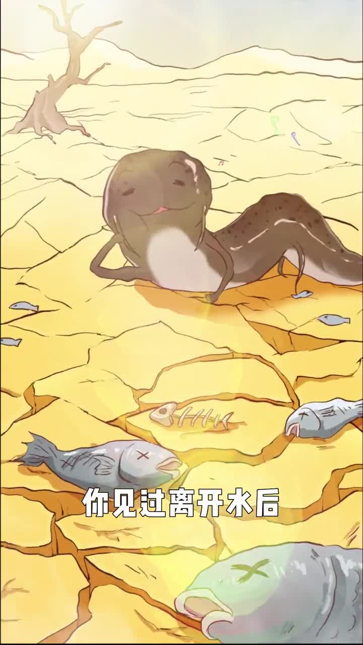 想要吃鱼直接土里挖非洲肺鱼到底有多逆天