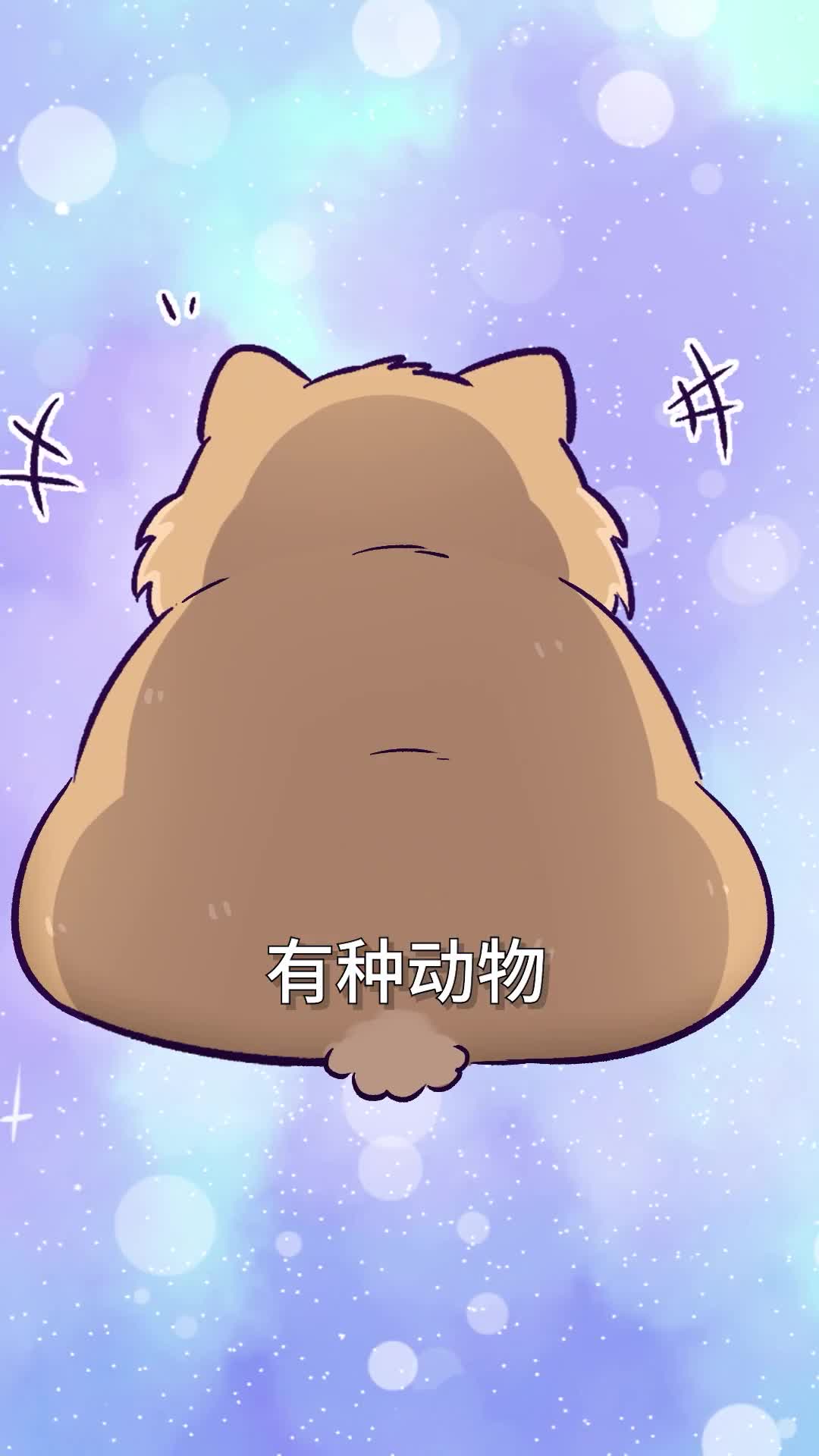 一天拉100块巧克力咋做到的