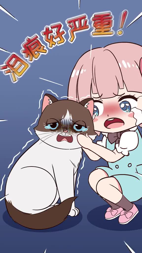 猫咪泪痕重的5种原因铲屎官一定要知道能更有效的预防泪痕哦