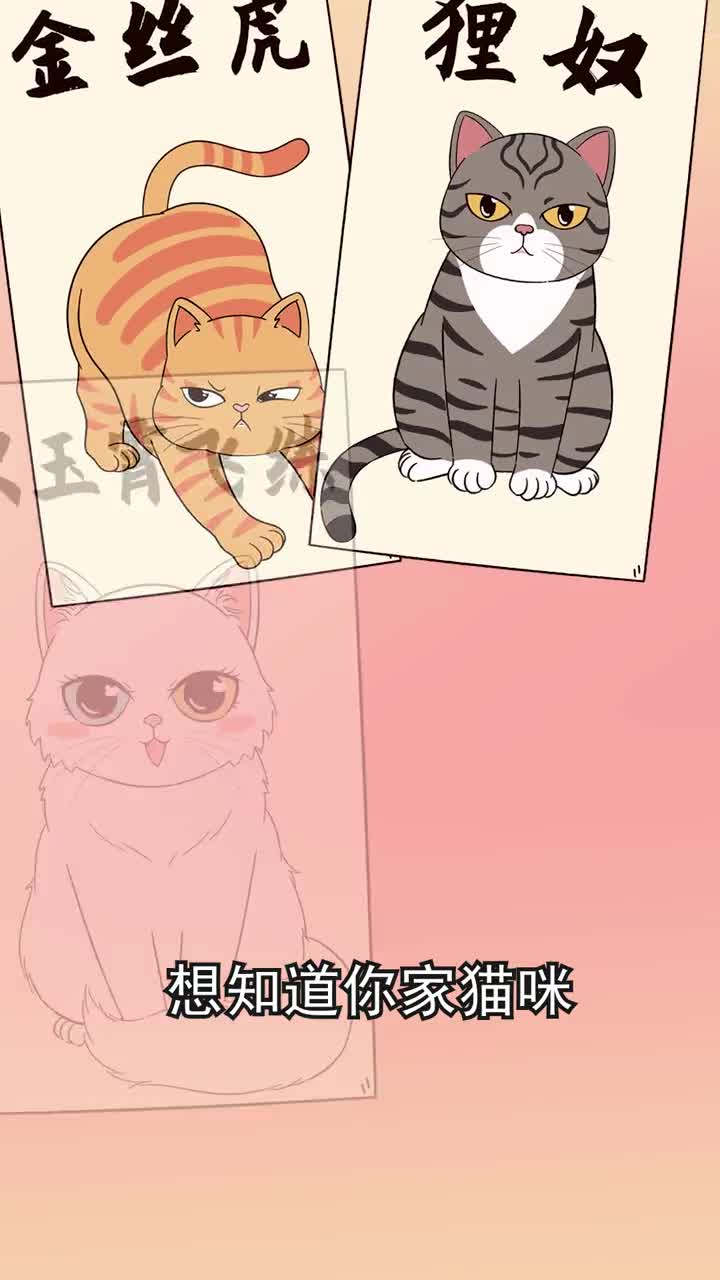 你家猫在古代叫什么名字呢这么优雅的名字你都知道哪几个