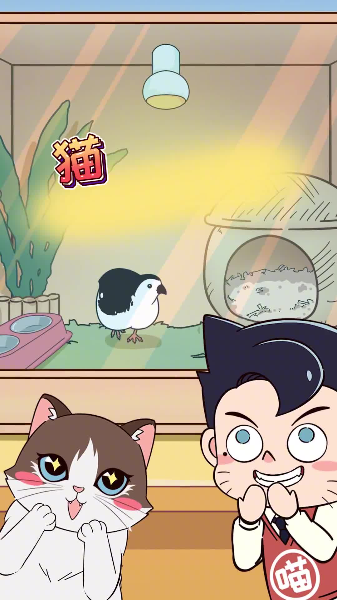 这些养鸡好物居然也能给猫用而且比猫用品更好用哦