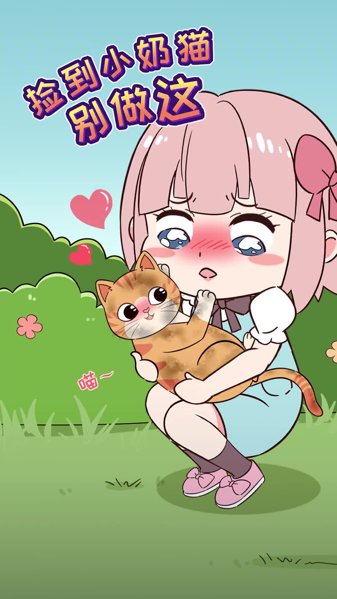 捡到小奶猫别做这些事