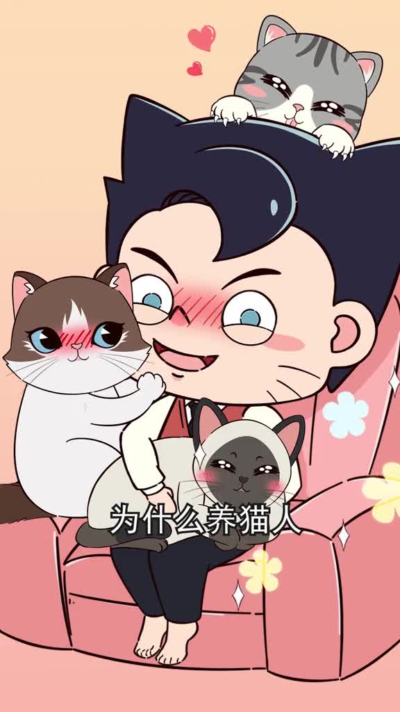 养猫人为啥普遍优秀是因为这5个生活真理都是喵老师告诉的