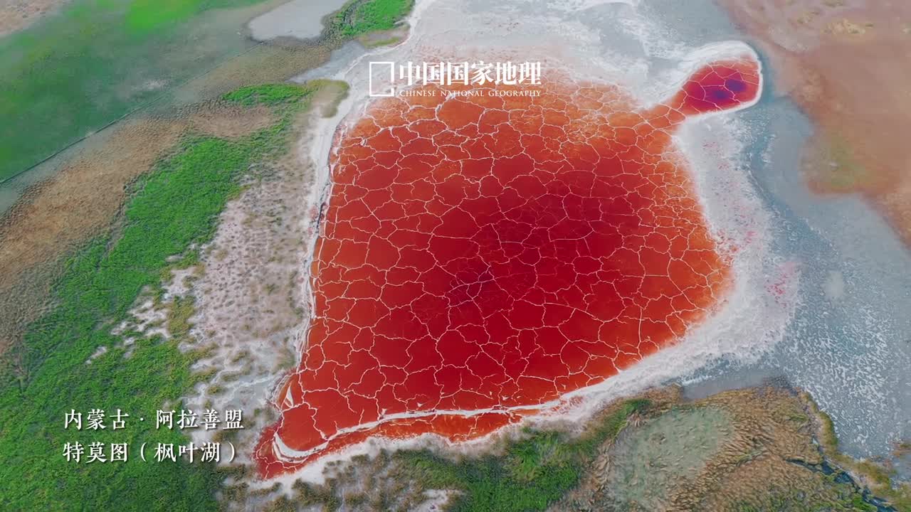 被盐湖的颜值硬控30秒蓝天白云之下盐湖如镜多情而闪烁我国盐湖主要分布在内蒙古西藏新疆青海等地盐湖斑斓的色彩在大地上晕开宛如一幅幅颜色浓郁的缤纷画卷壮丽又圣洁生活本就绚烂多姿大千世界的美好在等待我们去遇见