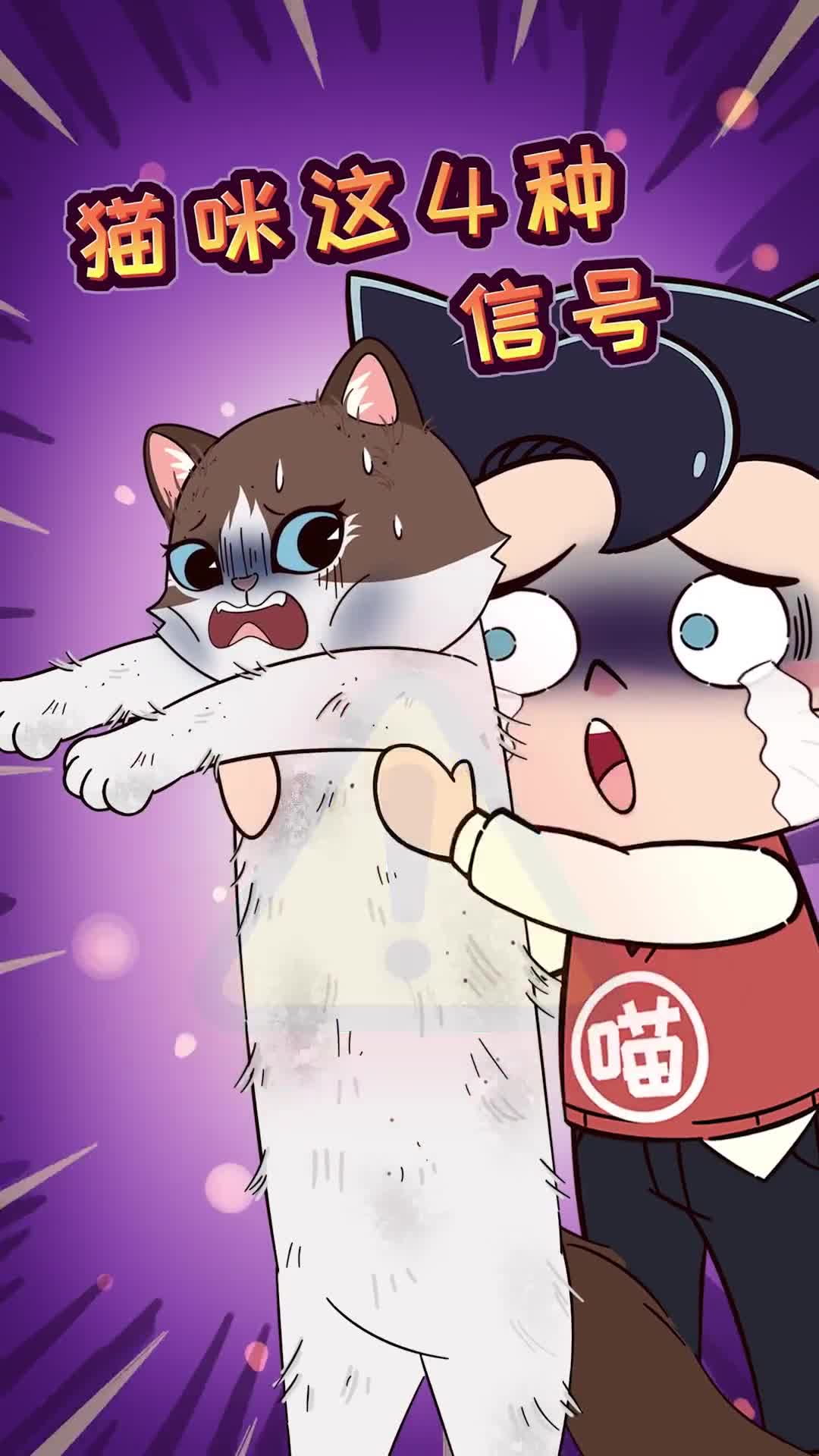 猫咪发出这4个信号再驱虫就晚了在家驱虫简单方便又省钱