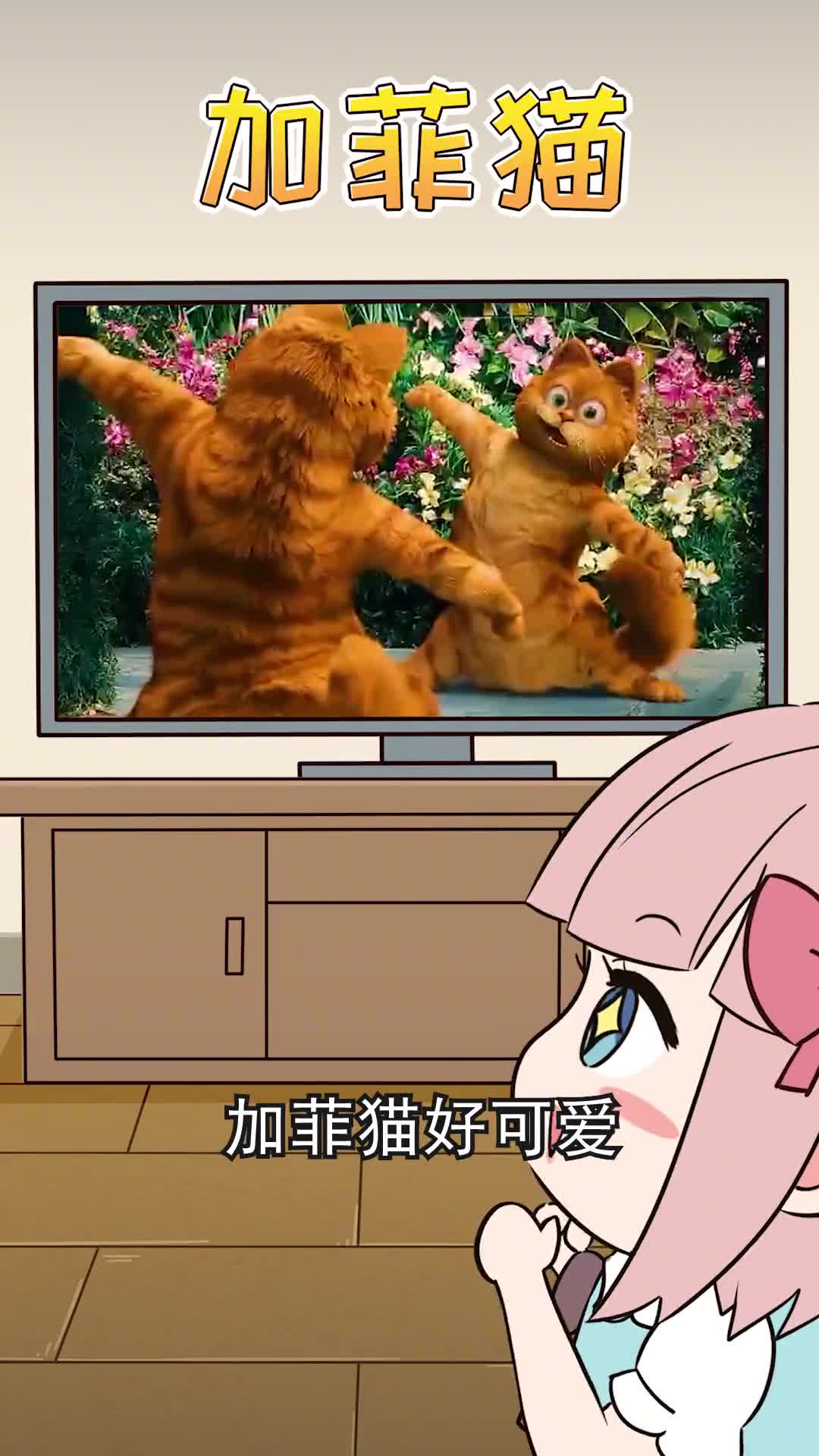 现实中的加菲猫其实这样的你是不是也被动画骗了很多年