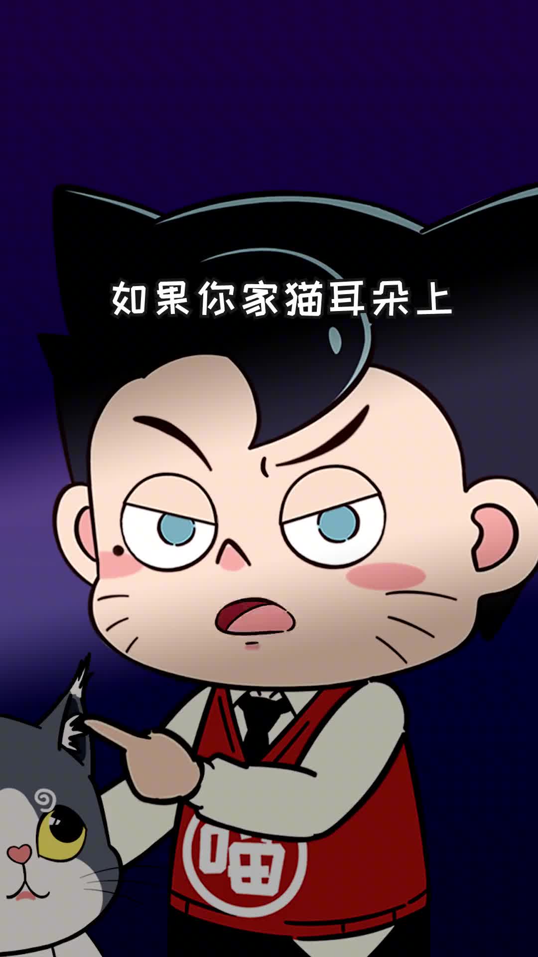 你家猫有聪明毛就要注意啦因为