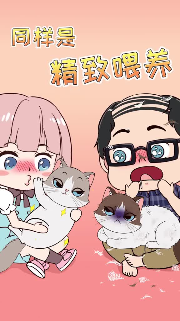 为什么别人家的猫毛发顺滑光亮你家猫却粗糙掉毛原因是缺少这几个关键营养