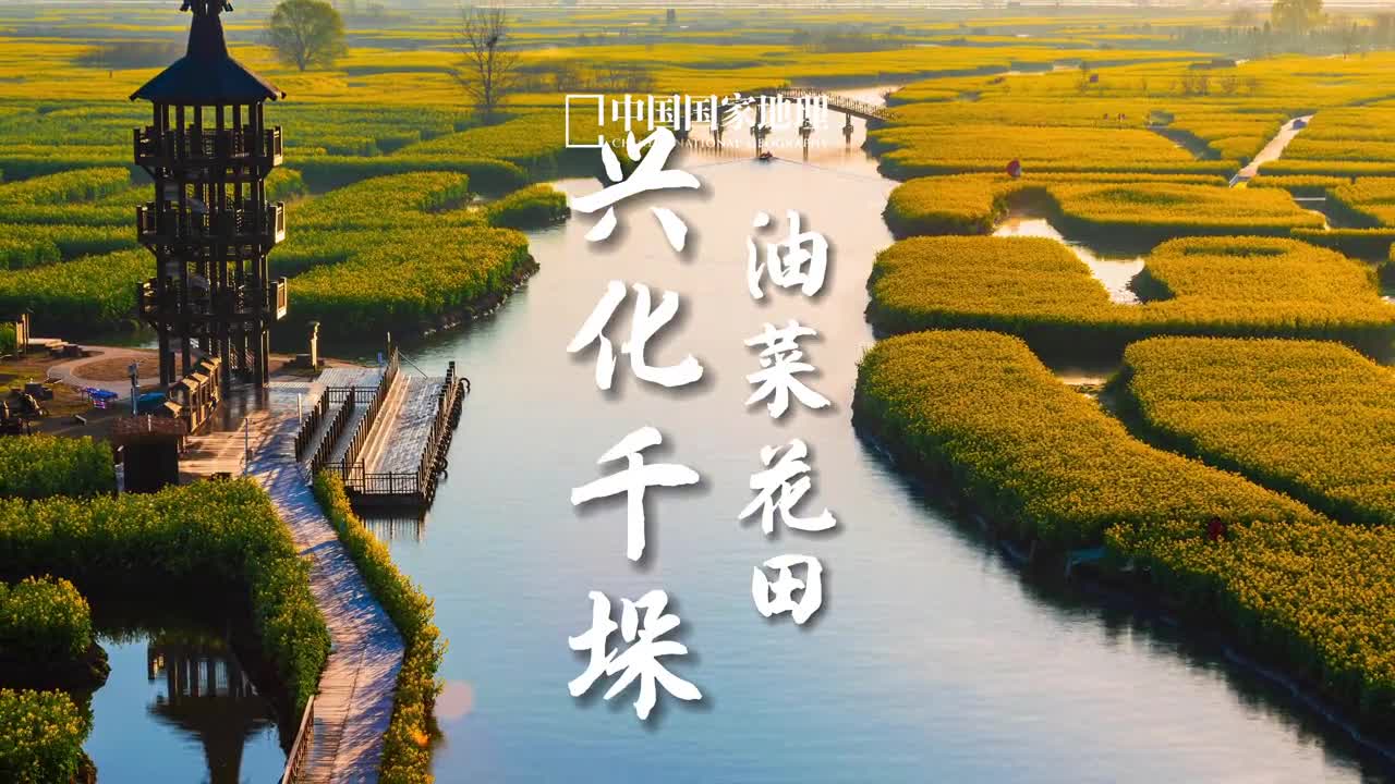 有一种春天叫油菜花开去油菜花泛舟吧江苏兴化是一个人杰地灵的水乡春日里万亩油菜花绚丽绽放河道穿行其间与其他地方的地上花田相比这里是真正的花海泛舟