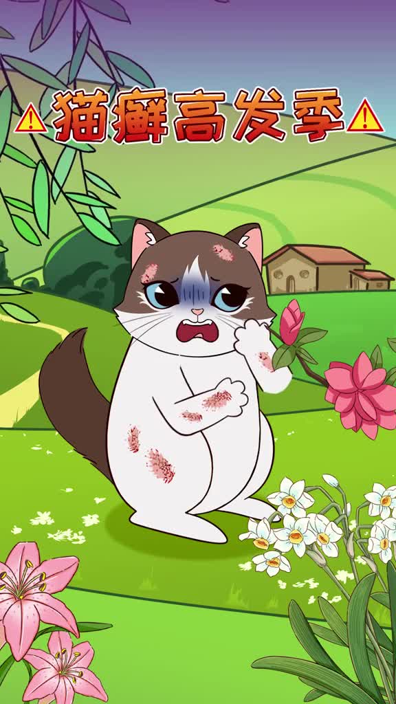 春夏是猫癣高发季这种猫特别易中招你知道怎么预防吗