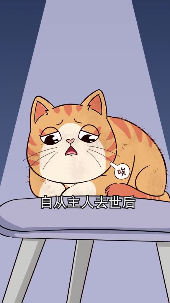 别再说猫咪没感情啦这3个关于猫的真实感人故事你听过吗下