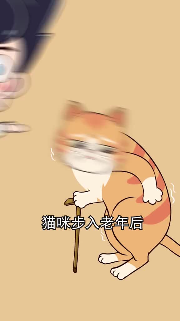 猫咪有这几种表现说明已步入老年更需要你的照顾和体谅哦