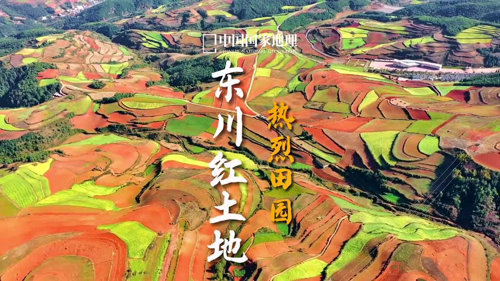 火红如焰的土地像一条华丽大气的百褶裙层层叠叠的梯田仿佛是风情无限的刺绣