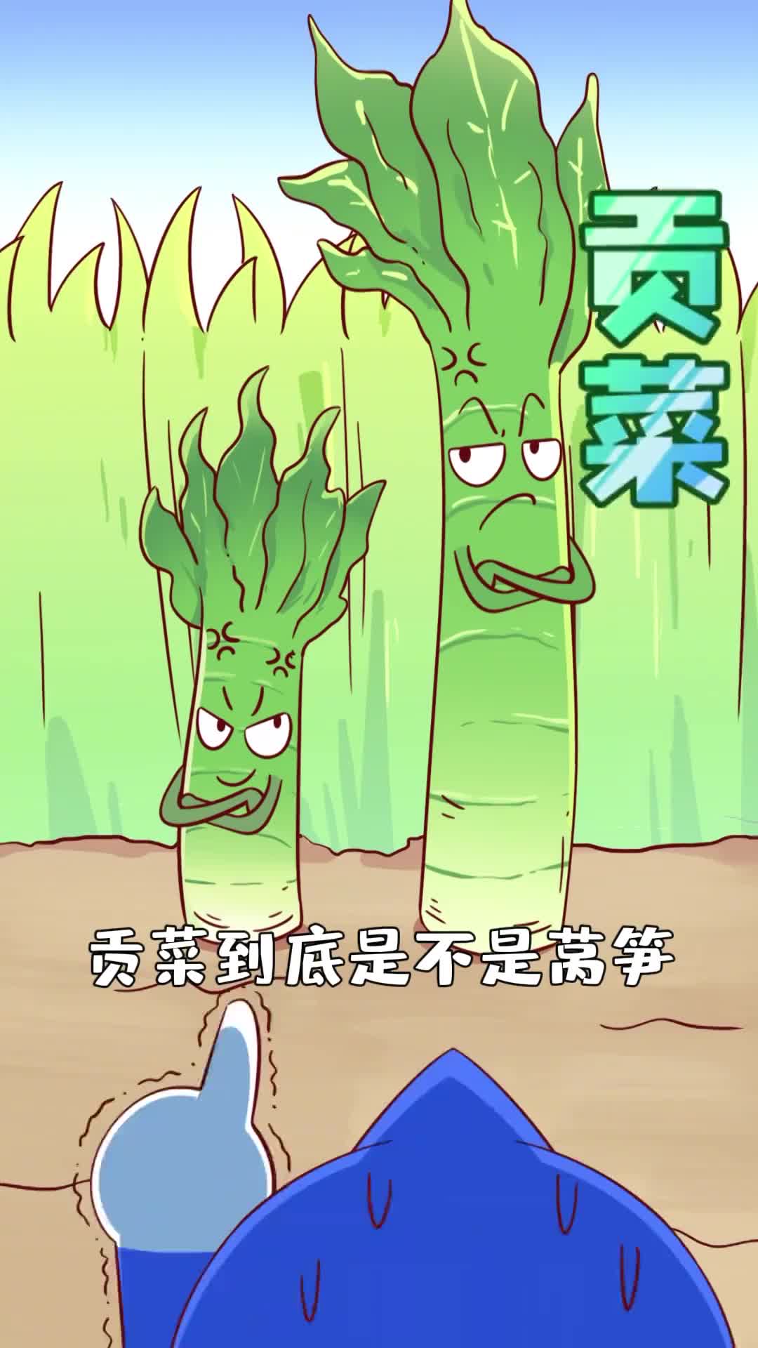 火锅里的素菜之王贡菜为什么叫贡菜