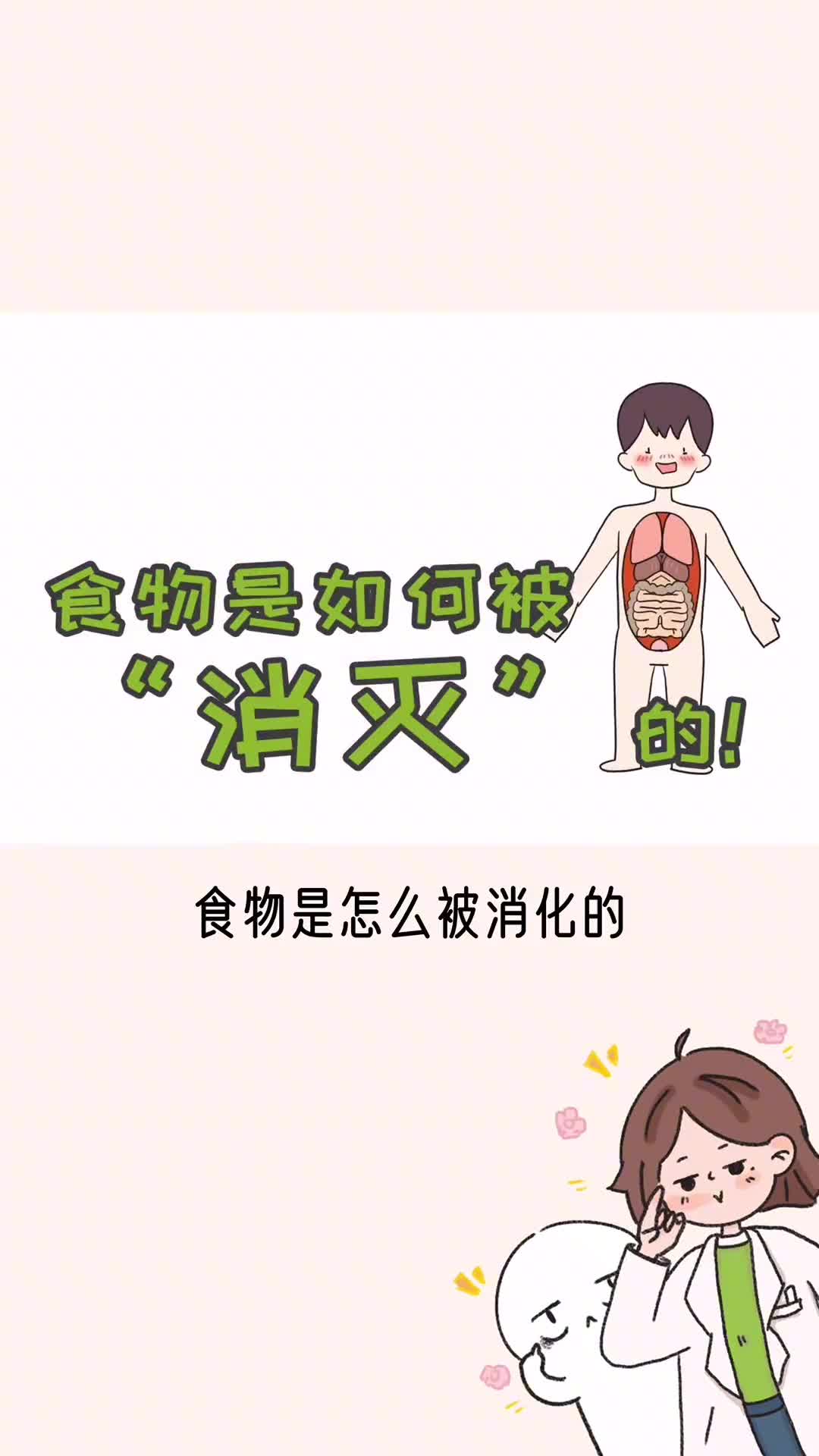 食物是如何被我们消化的