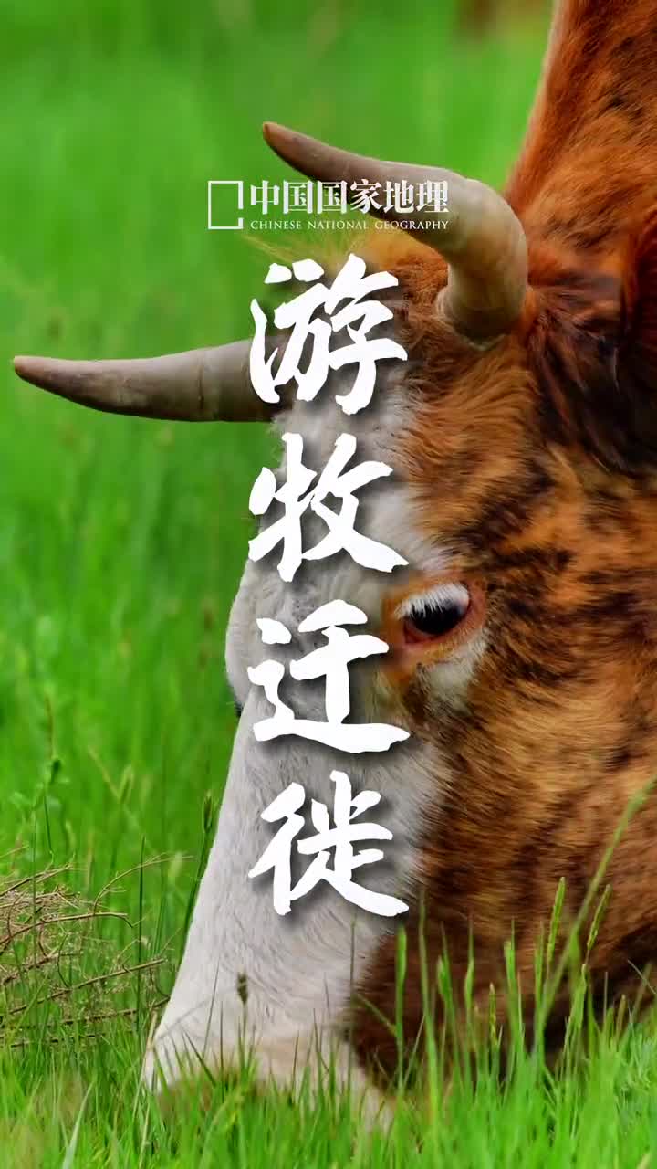 路过的是风景留下的才是人生