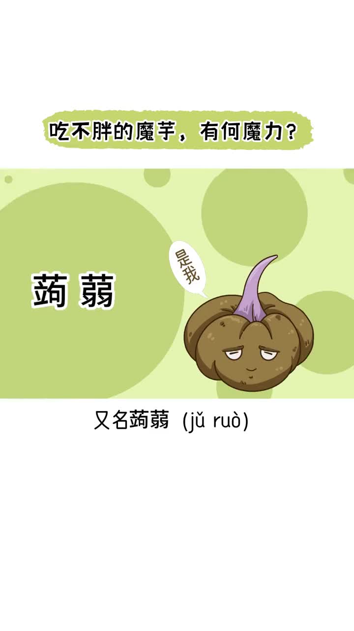 吃不胖的0脂魔芋有何魔力