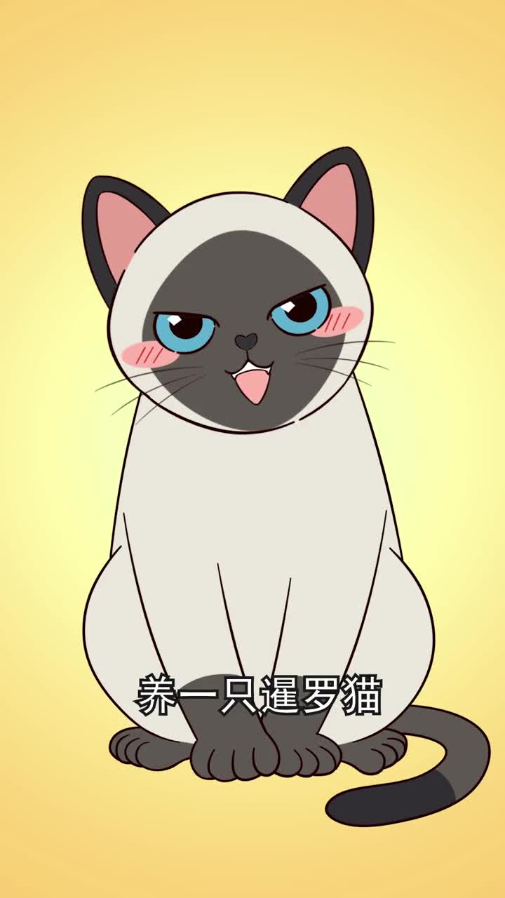 为什么说养一只暹罗猫就能实现猫狗双全