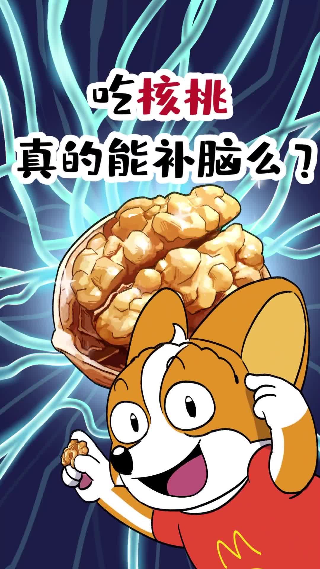 吃核桃真的能补脑吗